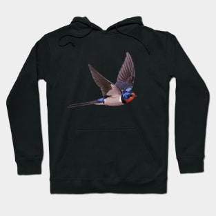 Barn Swallow Hoodie